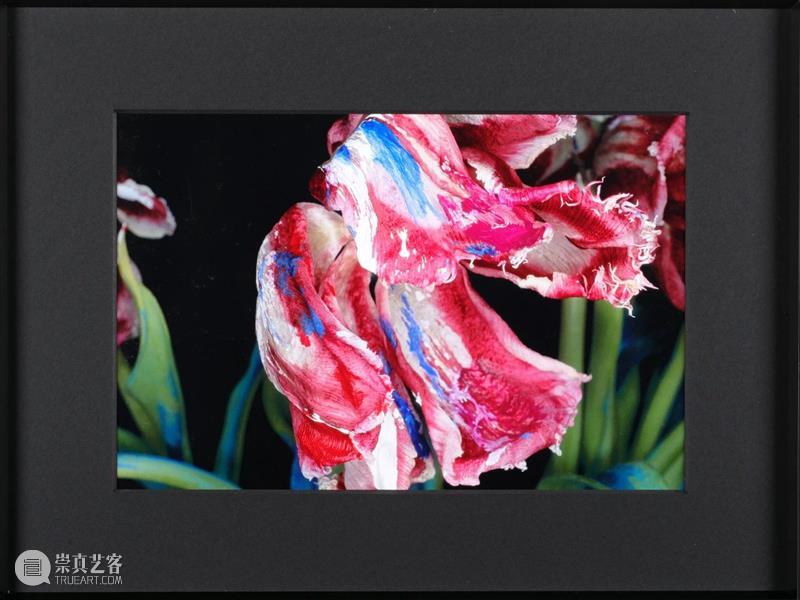 PAM新展 | “以花之名”,八月绽放 PAM PAM 新展 Flower Museum Shanghai 繁花 此处 国际 当代 艺术家群 崇真艺客